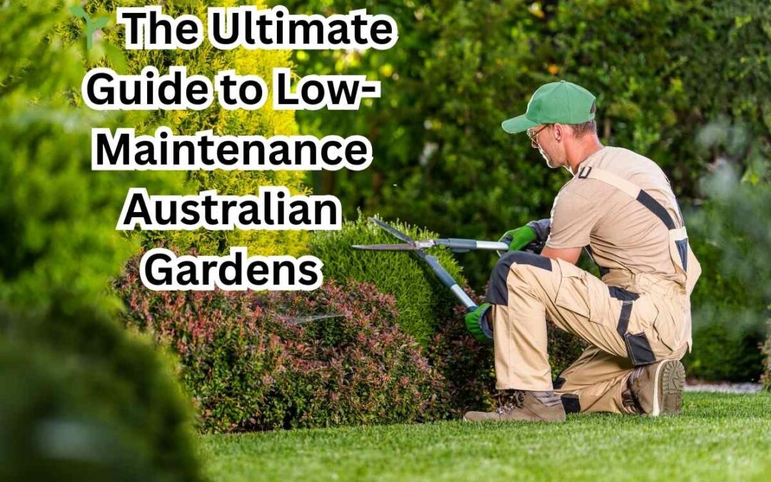 🌱 The Ultimate Guide to Low-Maintenance Australian Gardens